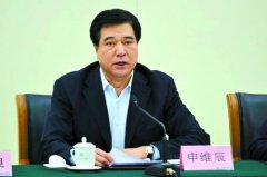 申维辰被查内幕：回京下飞机即被直接带走